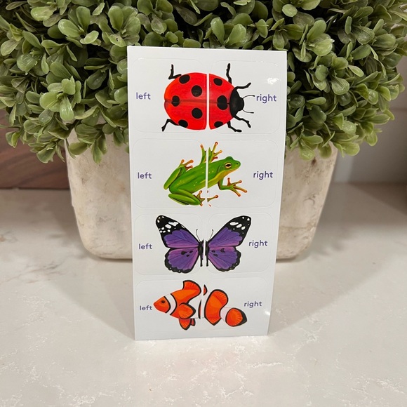 Lovevery Left & Right Shoe Stickers - Picture 1 of 2